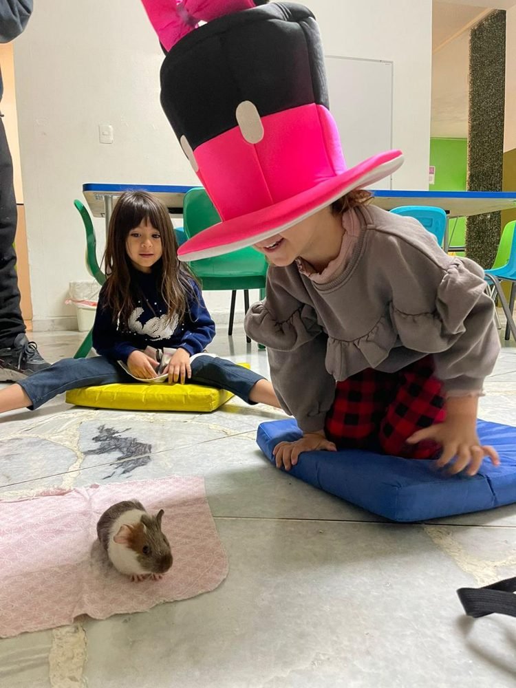 Una alumna con un sombrero de fantasía junto a un conejillo de indias en el salón